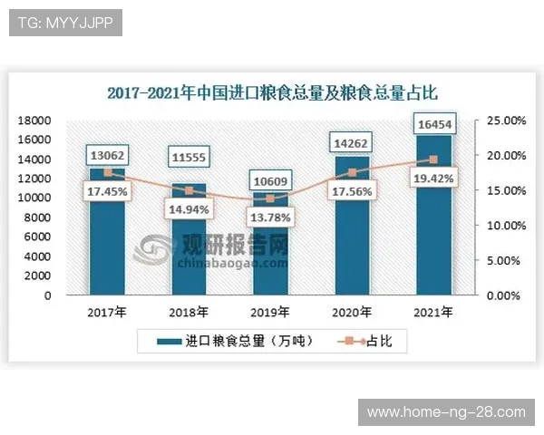 福建浔兴股份创新驱动发展路径探索与未来战略布局分析